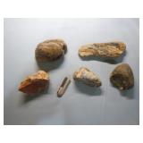 Geodes and Petrified Wood