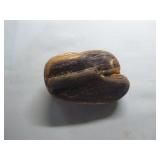 Geodes and Petrified Wood