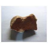 Geodes and Petrified Wood