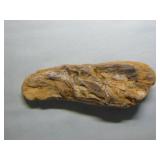 Geodes and Petrified Wood