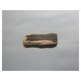 Geodes and Petrified Wood