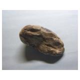 Geodes and Petrified Wood