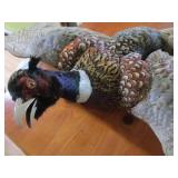 Ringneck Pheasant Mount