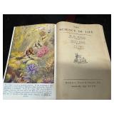 Vintage Books - Seller States Includes Some First Additions (See photos for details)