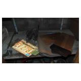 New Pinto Mud Flips, License Plates, Skates and New Car Mats