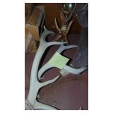 Very Cool Horn Clock and 2 Horns