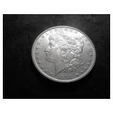 1896 Morgan Silver Dollar