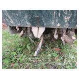 Craftsman rear tine tiller, 6hp 17"...