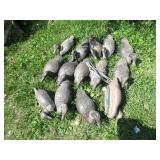 Decoys, 12 plastic Miller Mfg...