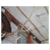Elk horn mount...