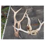 Three sets horns  ...