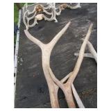 Three sets horns  ...