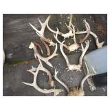 Multiple horns, sets & singles...