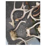 Multiple horns, sets & singles...