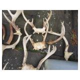 Multiple horns, sets & singles...