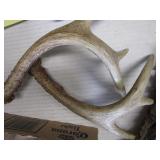 Gun cleaning kit, shoulder pad, hor...