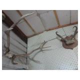 Horns: four set with elk, ram, whit...