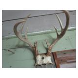 Horns: four set with elk, ram, whit...