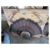 Turkey feather mounts, claws & bear...