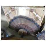 Turkey feather mounts, claws & bear...