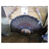Turkey feather mounts, claws & bear...