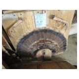 Turkey feather mounts, claws & bear...