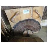 Turkey feather mounts, claws & bear...