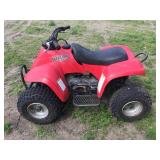 Impuls TXL-50 Kids 4-Wheeler Project/Parts