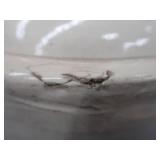 4 GALLON REDWING JUG