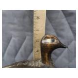 VINTAGE SHORE BIRD / SEAGULL DECOY