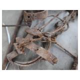 ASSORTED TRAPS. LOTS OF VICTOR