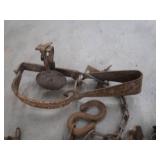 ASSORTED TRAPS. LOTS OF VICTOR