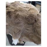 DEER SKIN / HIDE