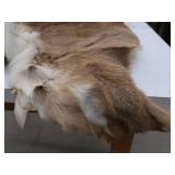 DEER SKIN / HIDE
