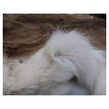 DEER SKIN / HIDE
