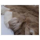 DEER SKIN / HIDE