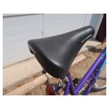 SCHWINN MTB HURRICANE