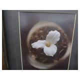 HUGE LOT OF FRAMES, WOOD AND METAL