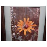 HUGE LOT OF FRAMES, WOOD AND METAL