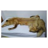 Full Fox Pelt