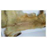 Full Fox Pelt