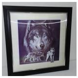 Framed Holographic Wolf.
