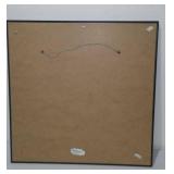 Framed Holographic Wolf.