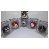 Dale Earnhardt NASCAR Collectible Ornaments (6).