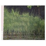 Bullhead Lilly Woodcut Print by Gordon Mortensen