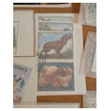 Large Vintage Stamp Collection