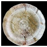 Arcoroc Fleur Clear Glass Torte Kitchenware