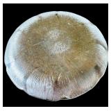 Arcoroc Fleur Clear Glass Torte Kitchenware