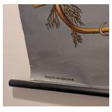 Vintage Botanical School Chart of White Nettle by Jung Koch & Quentell