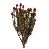 Pallet of Store Overstock Vickerman Product and Returns - UNPROCESSED